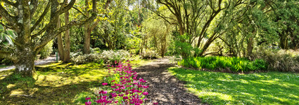 הגנים הבוטנים בתל אביב